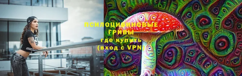 Псилоцибиновые грибы прущие грибы  ОМГ ОМГ tor  Видное 